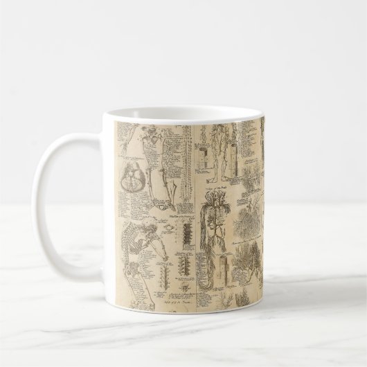 Anatomische Grafiek uit Cyclopaedie 1728 Koffiemok (Links)