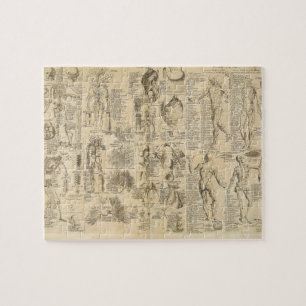 Anatomische Grafiek uit Cyclopaedie 1728 Legpuzzel