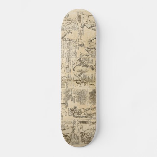 Anatomische Grafiek uit Cyclopaedie 1728 Persoonlijk Skateboard (Voorkant)