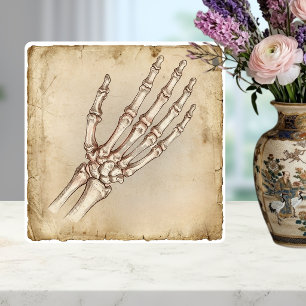 Anatomische handbotten inkttekening sepia vintage tegeltje