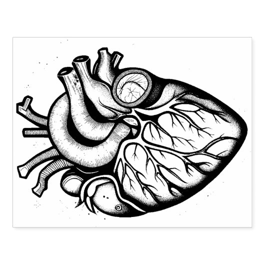Anatomische hart rubberen stempel (Afrduk)