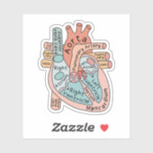 Anatomische Hart Sticker, Cardiale IC Verpleegkund Sticker (Vel)