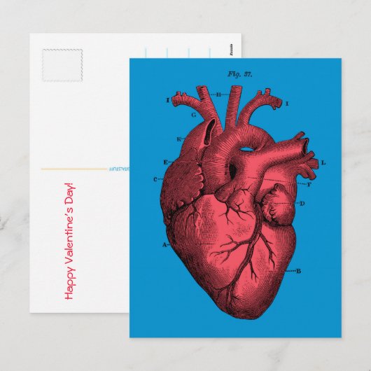  Anatomische Hart Valentijn's Day Feestdagenkaart (Voorkant / Achterkant)