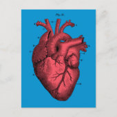  Anatomische Hart Valentijn's Day Feestdagenkaart (Voorkant)
