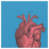 anatomische hartdag van de Valentijn Stof (Close Up)