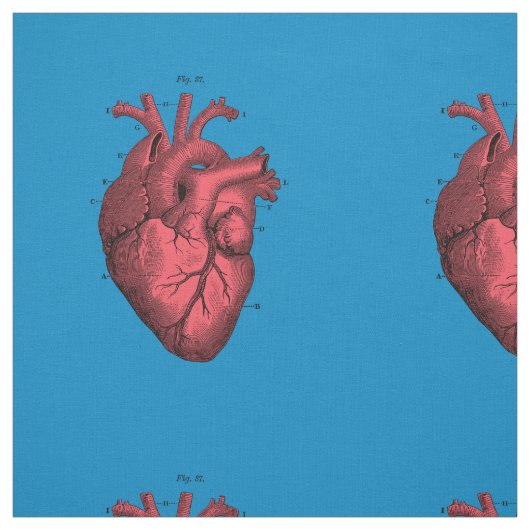 anatomische hartdag van de Valentijn Stof (Swatch)