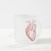 anatomische hartkamer, gevriesdroogde Mok van gla (Voorkant rechts)