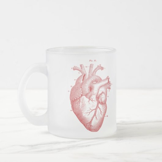  anatomische hartkamer, gevriesdroogde Mok van gla (Links)