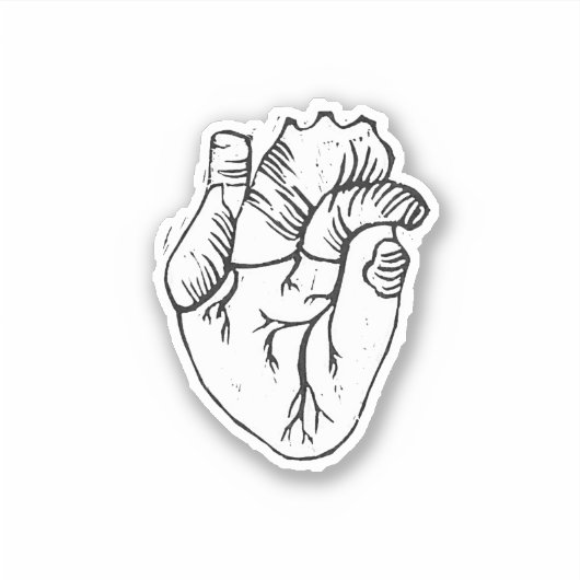Anatomische hartsticker sticker (Voorkant)