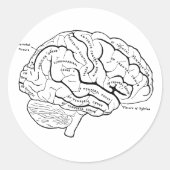 Anatomische hersenen ronde sticker (Voorkant)