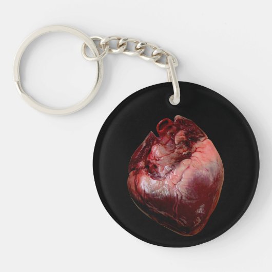 Anatomische humaan hartacrylsleutelring sleutelhanger (Voorkant)