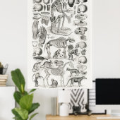  anatomische illustratie poster (Thuiskantoor)