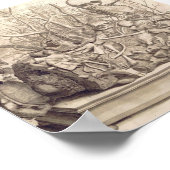  anatomische illustratie poster (Hoek)