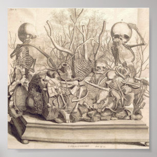 anatomische illustratie poster