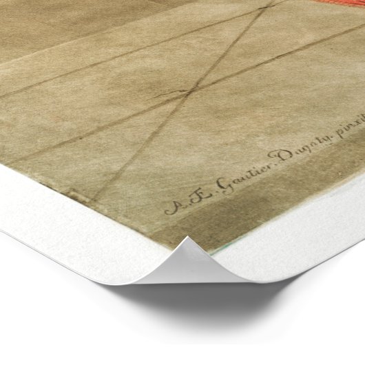  anatomische illustratie poster (Hoek)