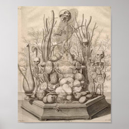anatomische illustratie poster