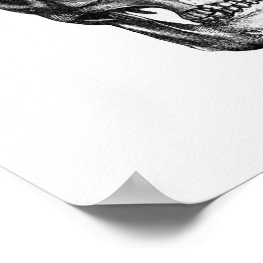 anatomische illustratie poster (Hoek)