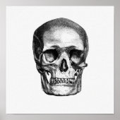 anatomische illustratie poster (Voorkant)