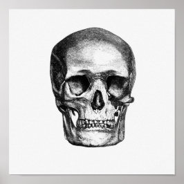  anatomische illustratie poster