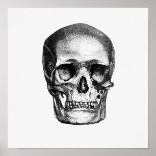  anatomische illustratie poster