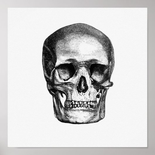 anatomische illustratie poster (Voorkant)