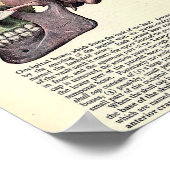 anatomische illustratie poster (Hoek)