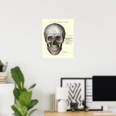  anatomische illustratie poster (Thuiskantoor)