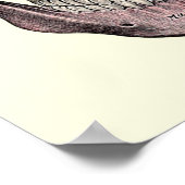  anatomische illustratie poster (Hoek)