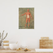  anatomische illustratie poster (Keuken)