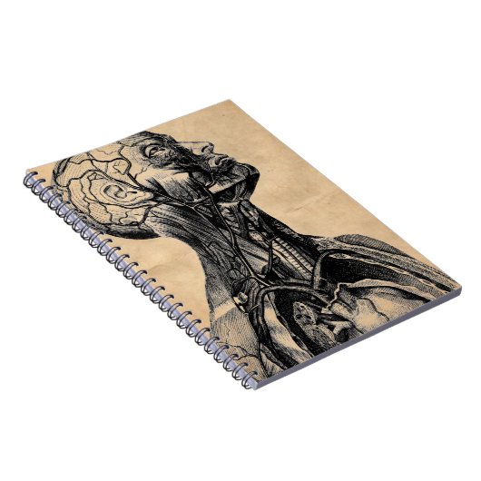  anatomische illustratie van het bovenlichaam notitieboek (Rechterzijde)