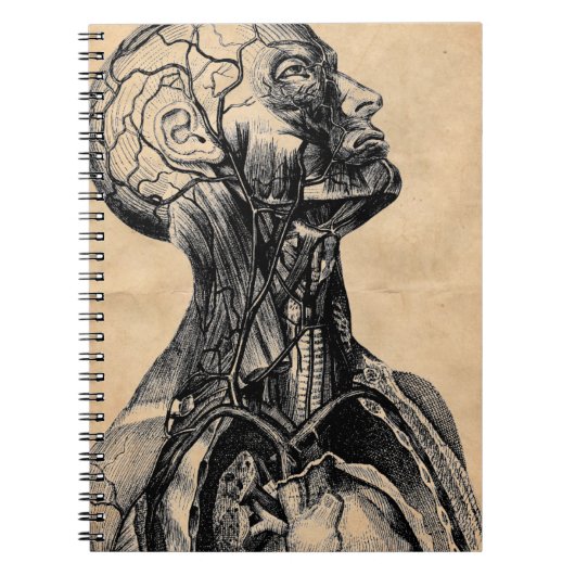  anatomische illustratie van het bovenlichaam notitieboek (Voorkant)