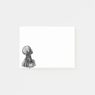 anatomische illustratie van het bovenlichaam post-it® notes