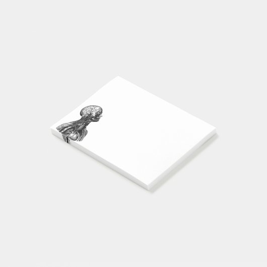 anatomische illustratie van het bovenlichaam post-it® notes (Schuin)