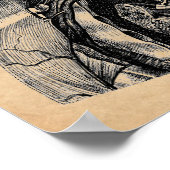 anatomische illustratie van het bovenlichaam poster (Hoek)