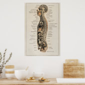 anatomische kaart van het menselijk lichaam poster (Keuken)