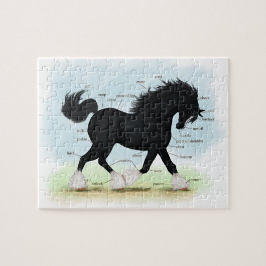 Anatomische kaart van zwarte haaienpaarden legpuzzel (Horizontaal)