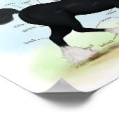 Anatomische kaart van zwarte haaienpaarden poster (Hoek)