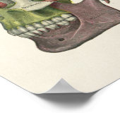 Anatomische kleurenafdrukken van de menselijke rom poster (Hoek)