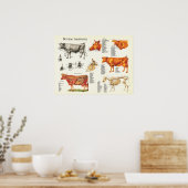 Anatomische koe voor runderen - 18 x 24 inch poster (Keuken)