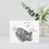 anatomische mond briefkaart (Staand voorkant)