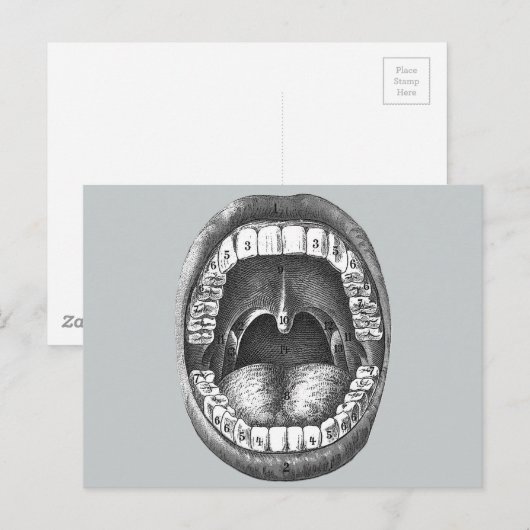  anatomische mond briefkaart (Voorkant / Achterkant)