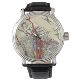  Anatomische Nek Illustratietekening Horloge