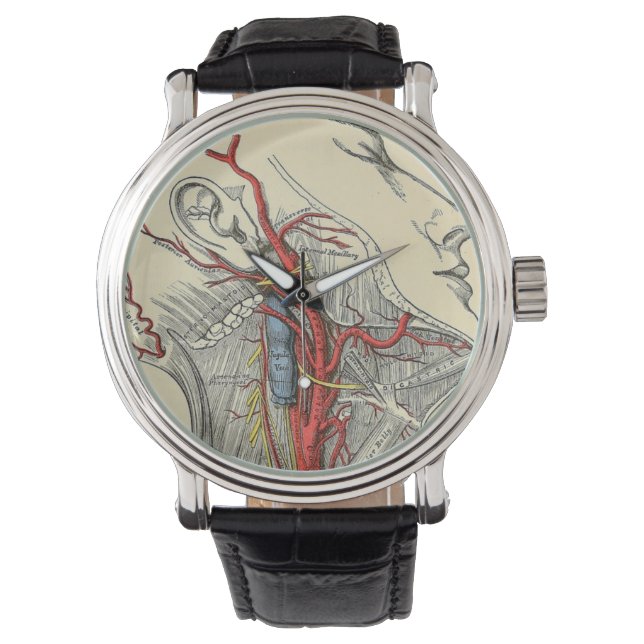  Anatomische Nek Illustratietekening Horloge (Voorkant)