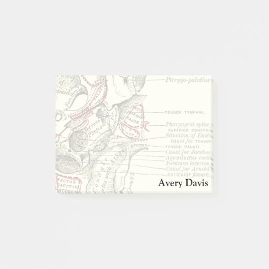anatomische ondergrond van de schedel post-it® notes (Voorkant)