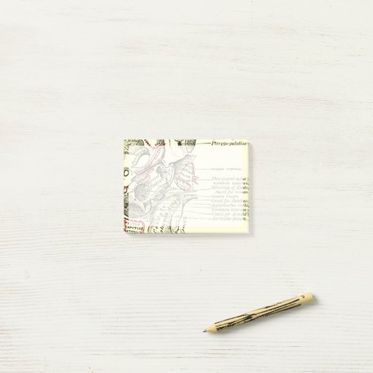 anatomische ondergrond van de schedel post-it® notes (Op bureau)