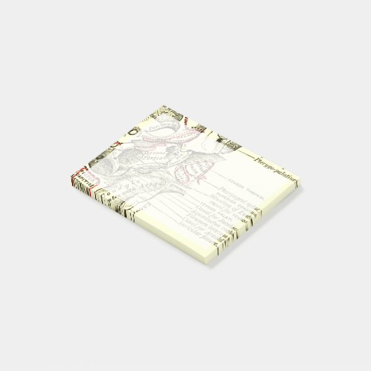 anatomische ondergrond van de schedel post-it® notes (Schuin)