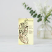  anatomische ondergrond van de schedel visitekaartje (Staand voorkant)