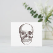 Anatomische schedel, zwart/wit briefkaart (Staand voorkant)