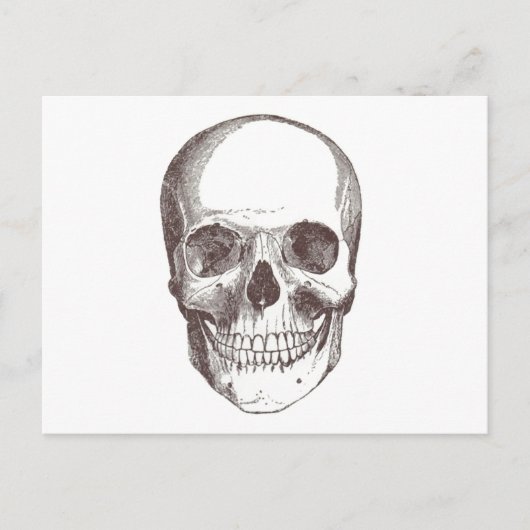 Anatomische schedel, zwart/wit briefkaart (Voorkant)