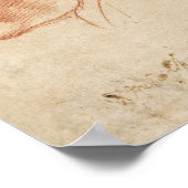  anatomische schets poster (Hoek)